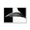 Banana Plant, Limited Edition Flower Art Print - Hahnemühle German Textured Print