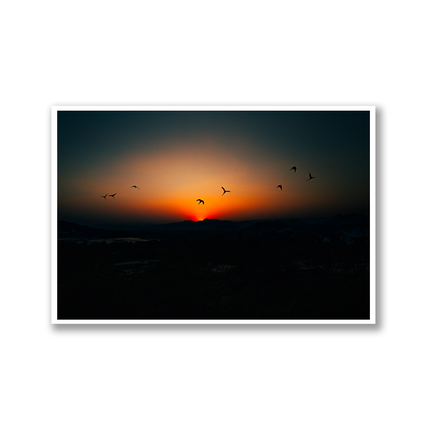 Birds of Udaipur, India Limited Edition Travel Print - Hahnemühle German Textured Print