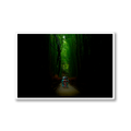Arishiyama Bamboo Grove, Kyoto, Limited Edition Travel Print - Hahnemühle German Textured Print
