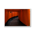 Fushimi Inari Taisha Shrine, Kyoto, Limited Edition Travel Print - Hahnemühle German Textured Print