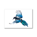 Magpie Limited Edition Art Print - Hahnemühle German Textured Print
